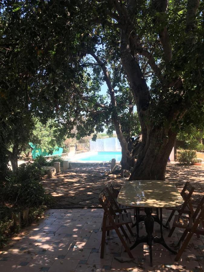 La Casa Del Carrubo Con Piscina Condivisa In Campagna Vicino Al Mare - Canestanco 18 * Santa Croce Camerina