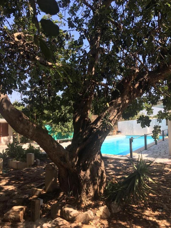 La Casa Del Carrubo Con Piscina Condivisa In Campagna Vicino Al Mare - Canestanco 18 Santa Croce Camerina