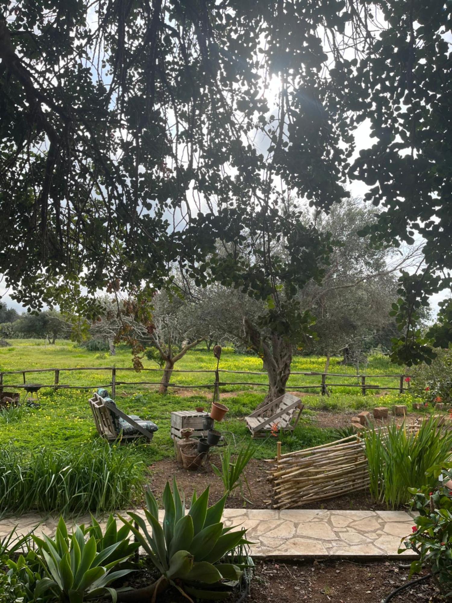 La Casa Del Carrubo Con Piscina Condivisa In Campagna Vicino Al Mare - Canestanco 18 Holiday home