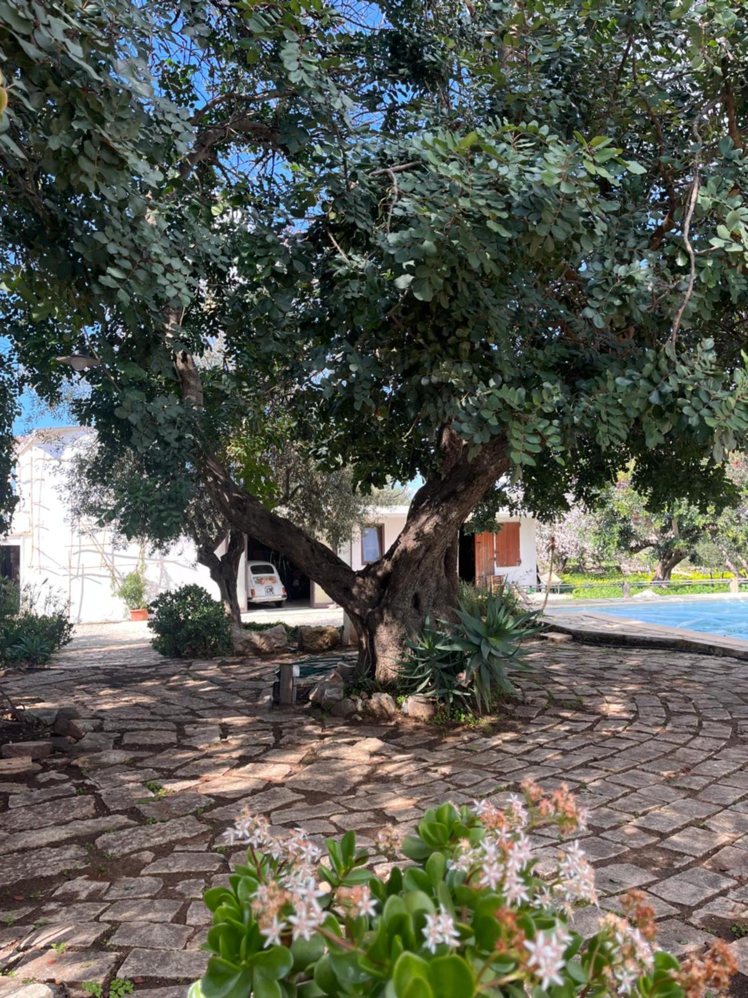 La Casa Del Carrubo Con Piscina Condivisa In Campagna Vicino Al Mare - Canestanco 18 * Santa Croce Camerina
